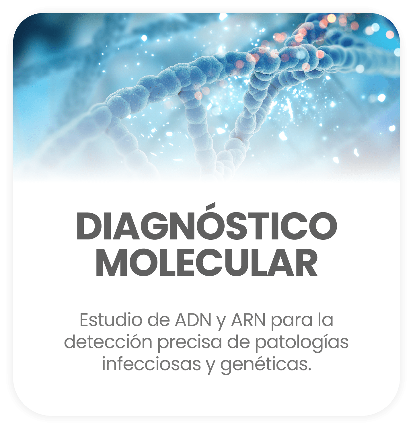 Diagnóstico molecular