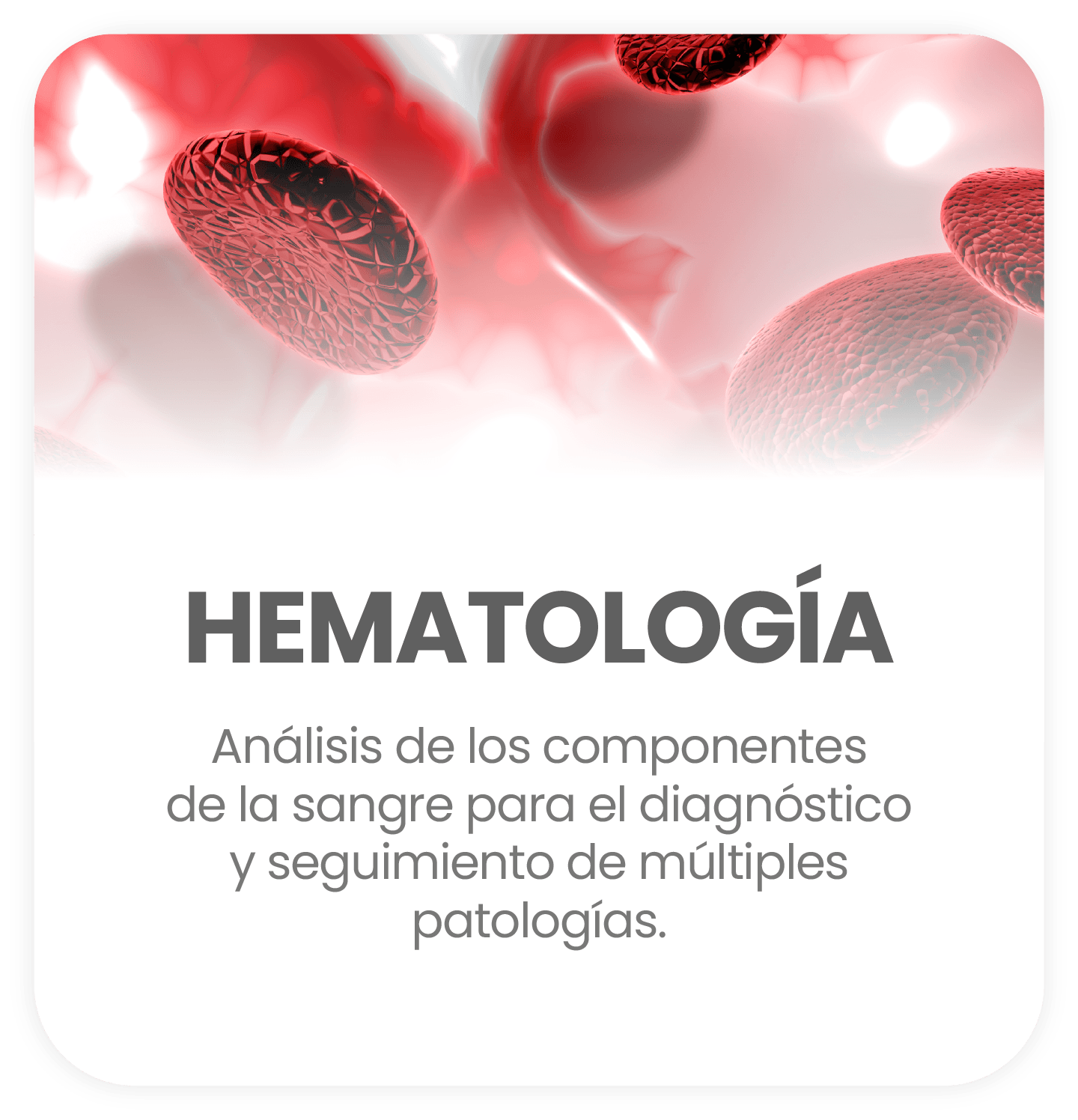 Hematología