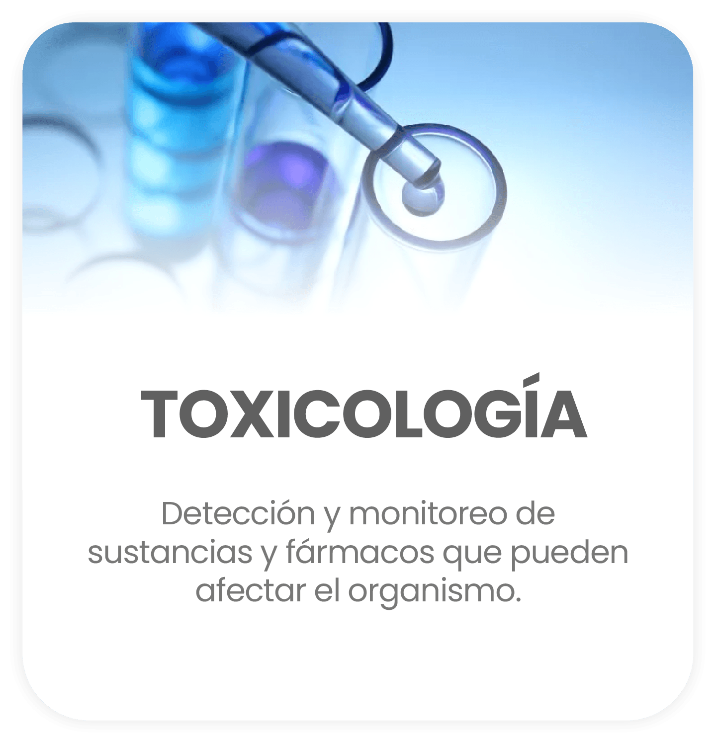 Toxicología